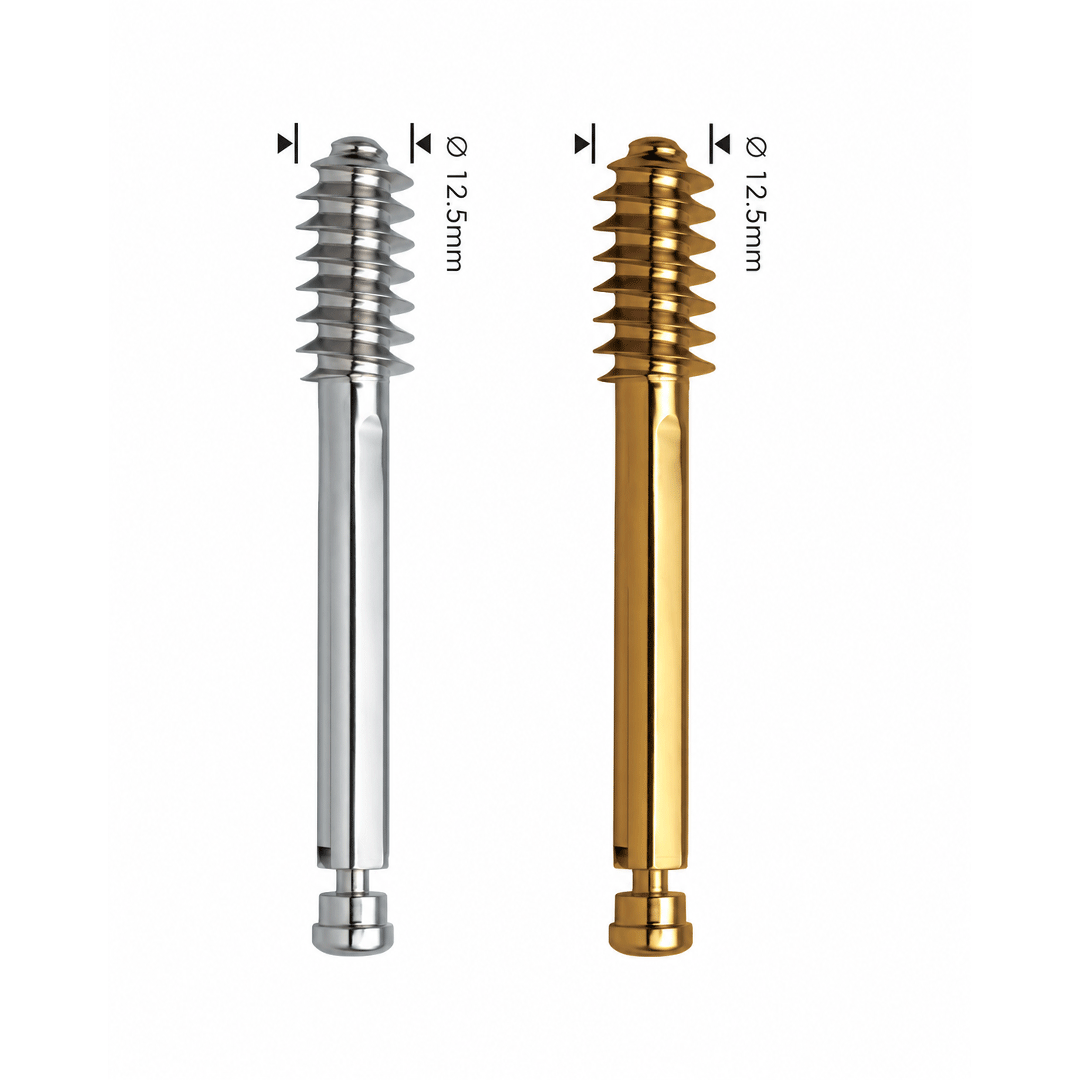Standard Lag Screw Ø12.5mm with Compression Screw