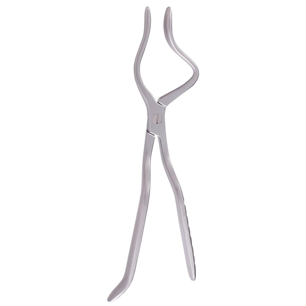 Rowe Type Disimpaction Forceps for Left and Right Maxillary Mobilization