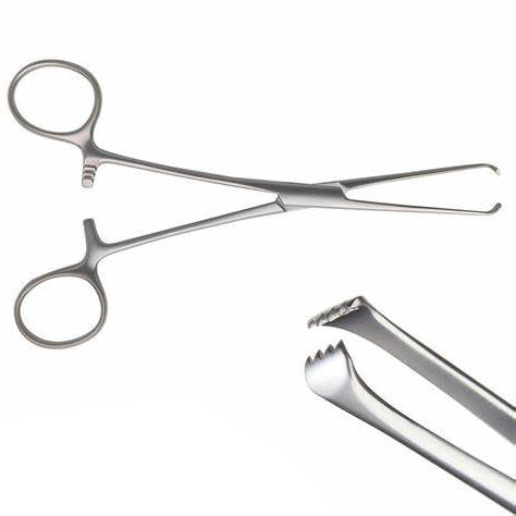 Allis Tissue Surgical Forceps