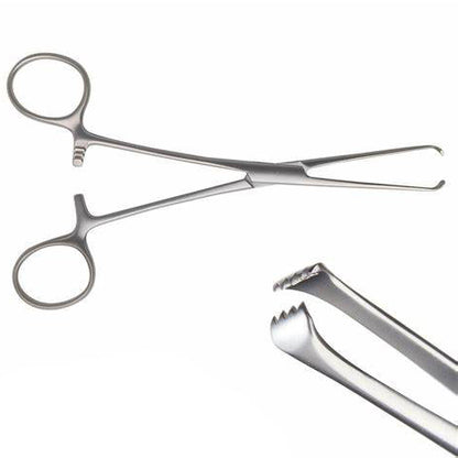 Allis Tissue Surgical Forceps