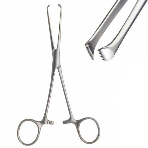 Allis Tissue Surgical Forceps