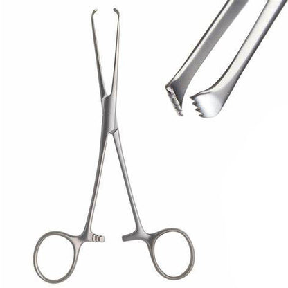 Allis Tissue Surgical Forceps