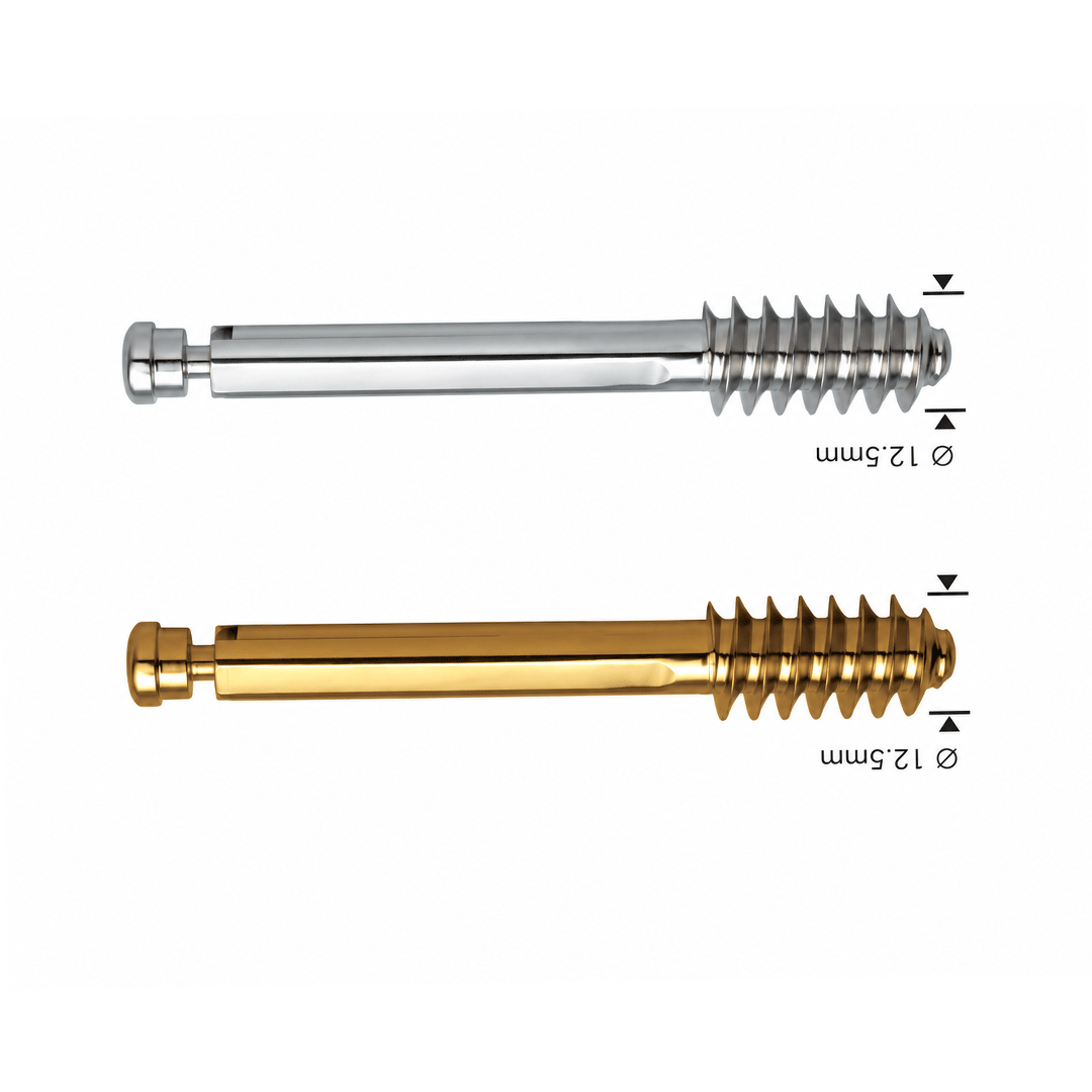 Standard Lag Screw Ø12.5mm with Compression Screw