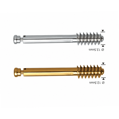 Standard Lag Screw Ø12.5mm with Compression Screw