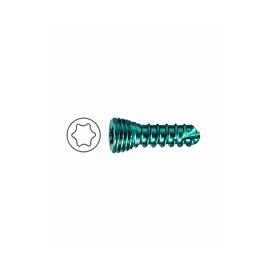 Safety Lock Screws Star Head Self Tapping 2mm