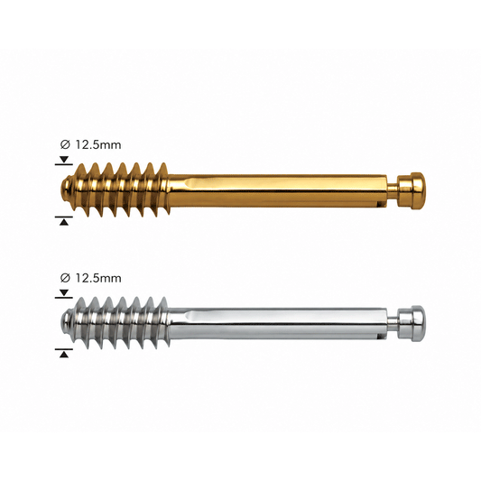 Standard Lag Screw Ø12.5mm with Compression Screw