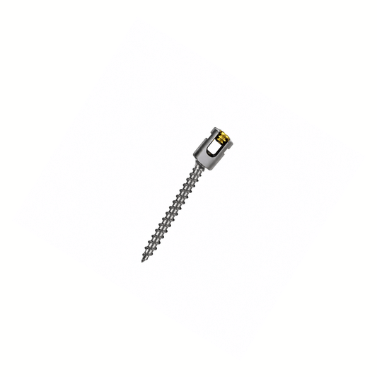 Polyaxial Pedicle Screw Titanium