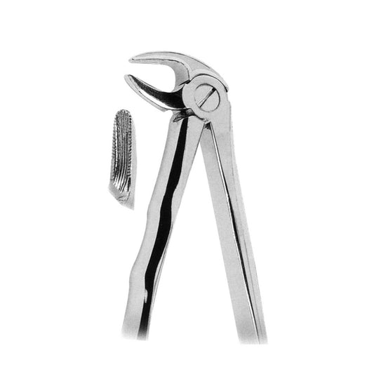 Dental Forceps