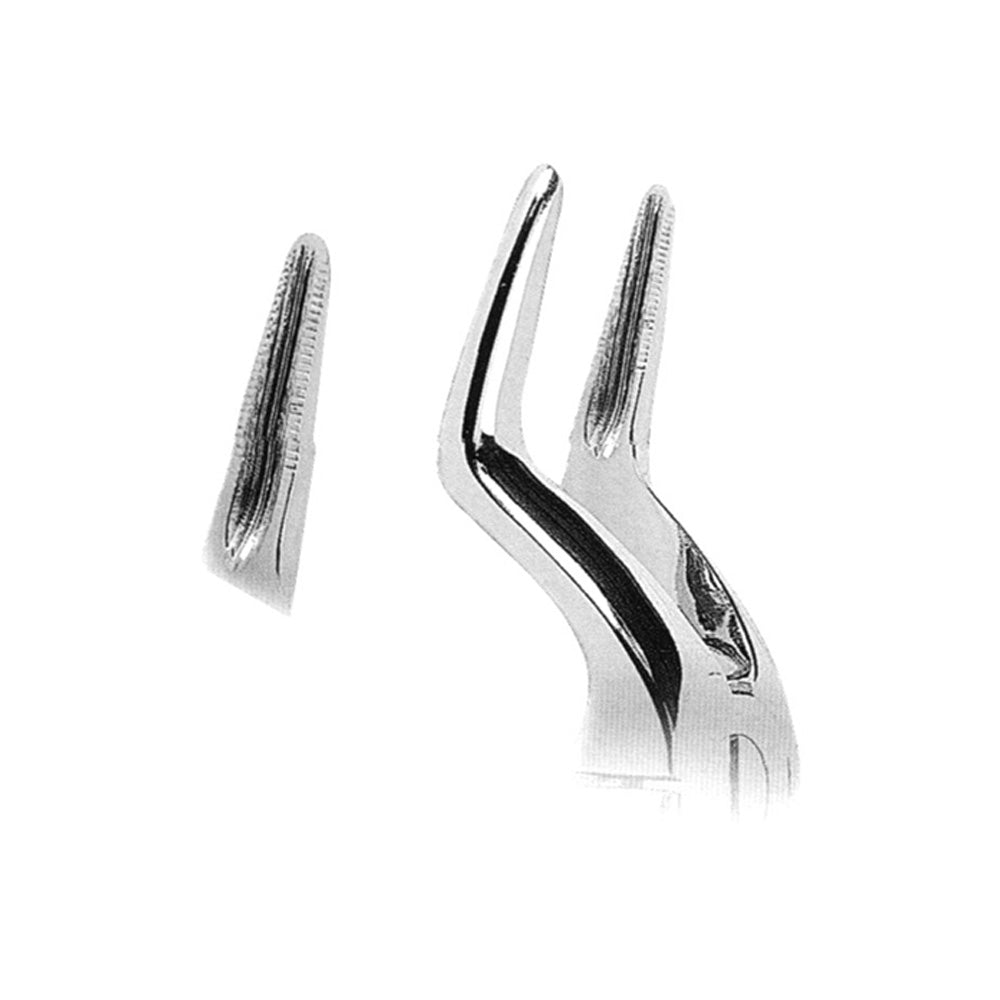 Anatomically Shaped Handle Upper Roots Hauptbild