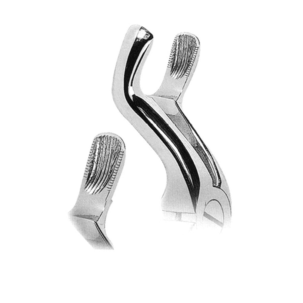 Anatomically Shaped Handle Pääkuva