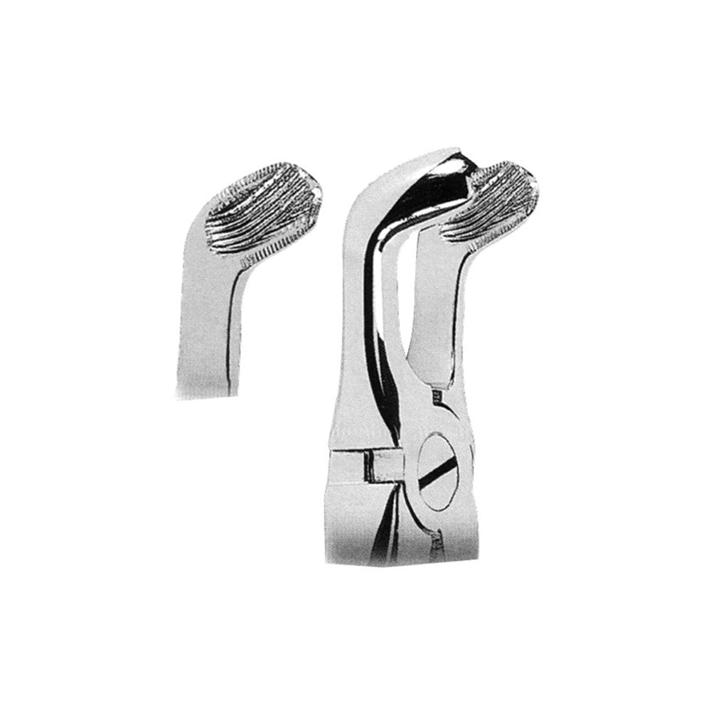 Anatomically Dental Shaped Handle Hình sản phẩm chính