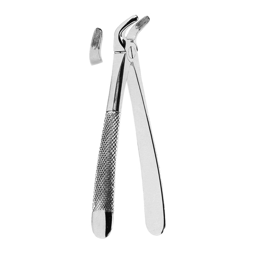 Extracting Forceps Lower Premolars With Serrated Tips