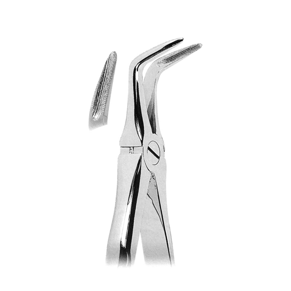 Dental Anatomically Shaped Handle Hauptbild