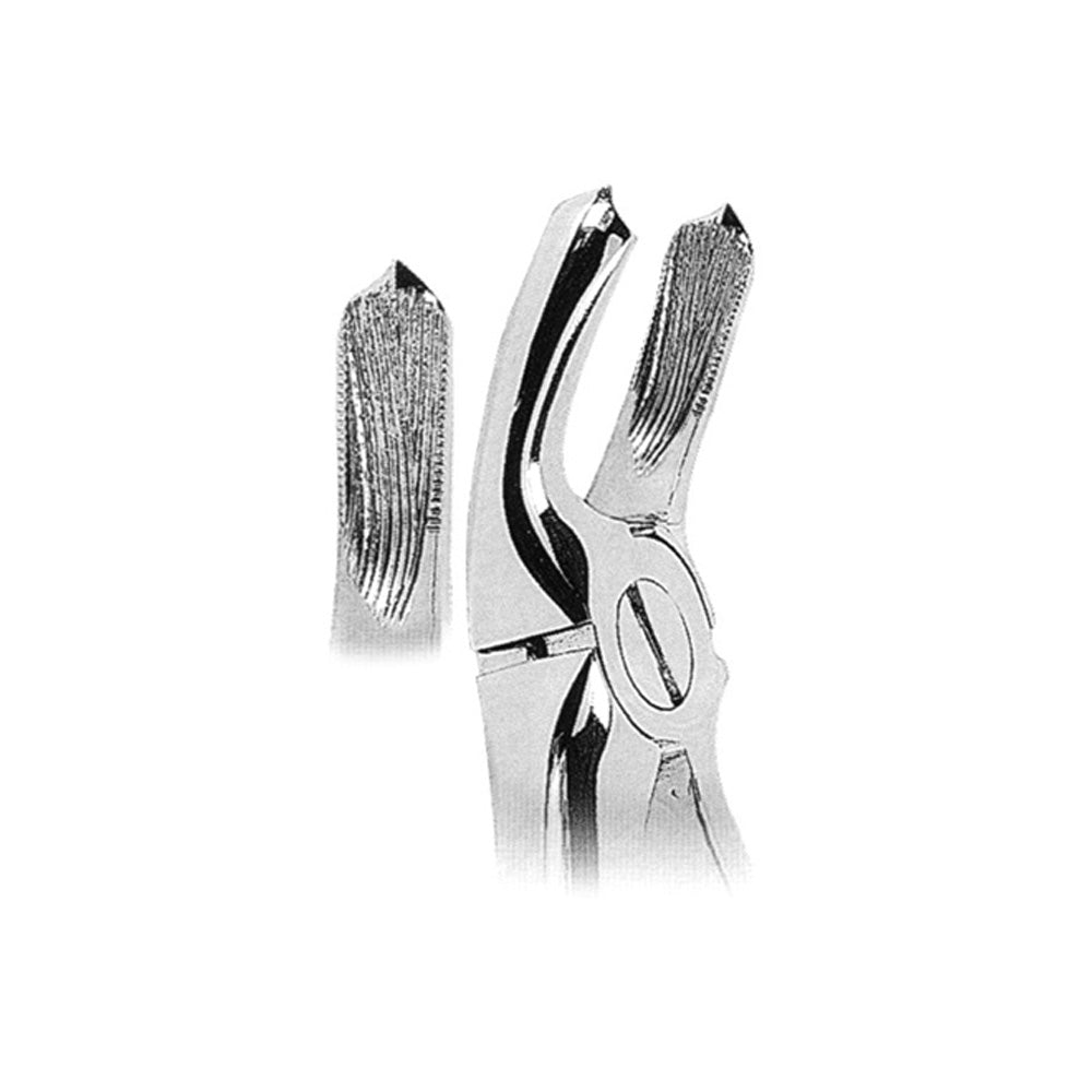 Extracting Forceps Upper Molars With Serrated Tips Hlavní obrázek produktu