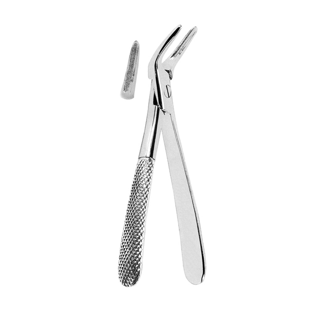 Witzel Lower Roots With Serrated Tips