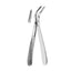 Witzel Lower Roots With Serrated Tips