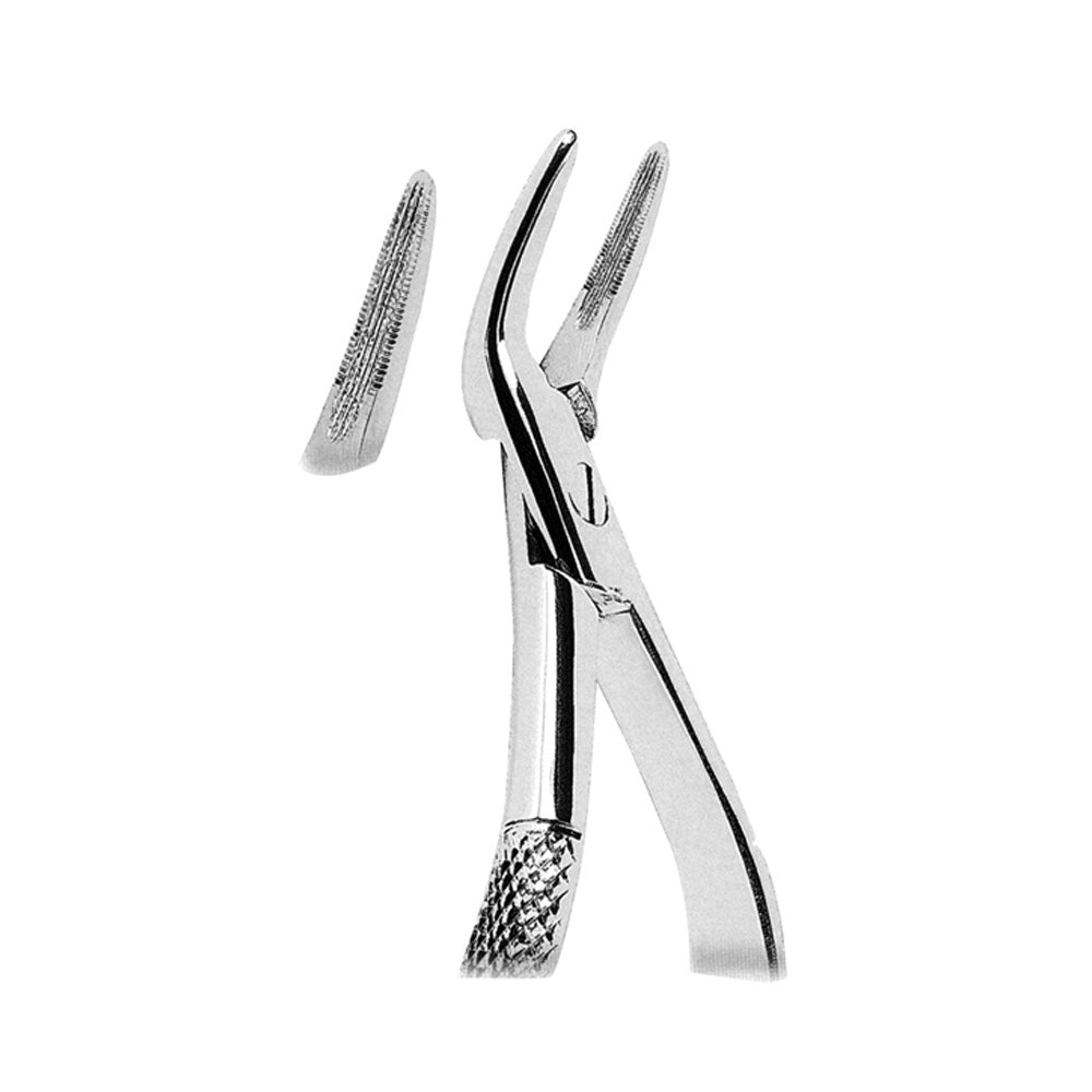 Witzel Upper Roots with Serrated Tips