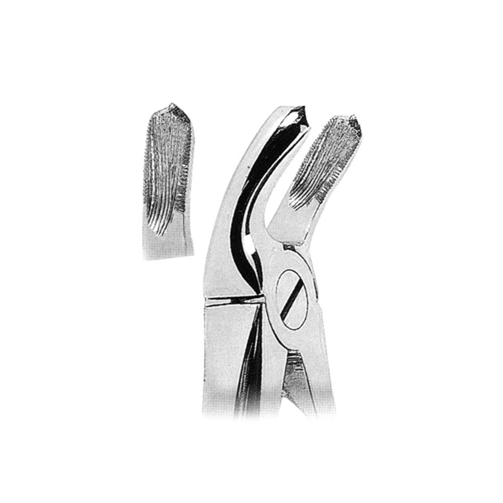 Extracting Forceps Upper Molars Right With Serrated Tips Hlavní obrázek produktu