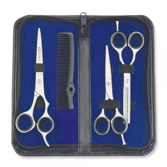 Hair Dressing Set