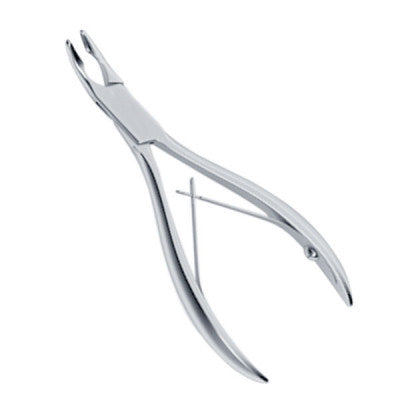 Rongeurs Ear Main image