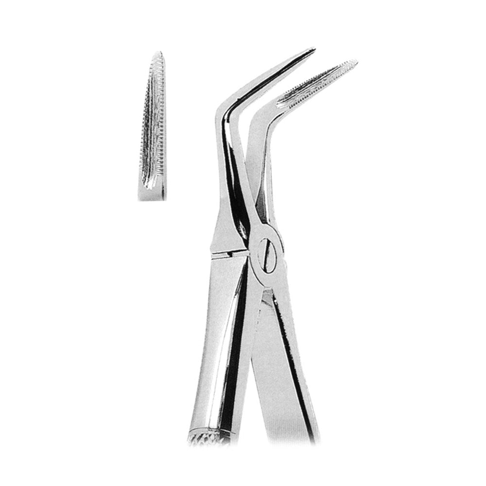 Extracting Forceps Lower Roots With Serrated Tips