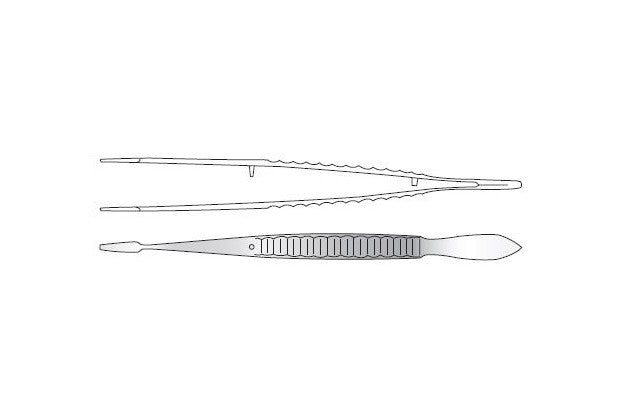 Jameson Evans Cilia Forceps Image principale du produit