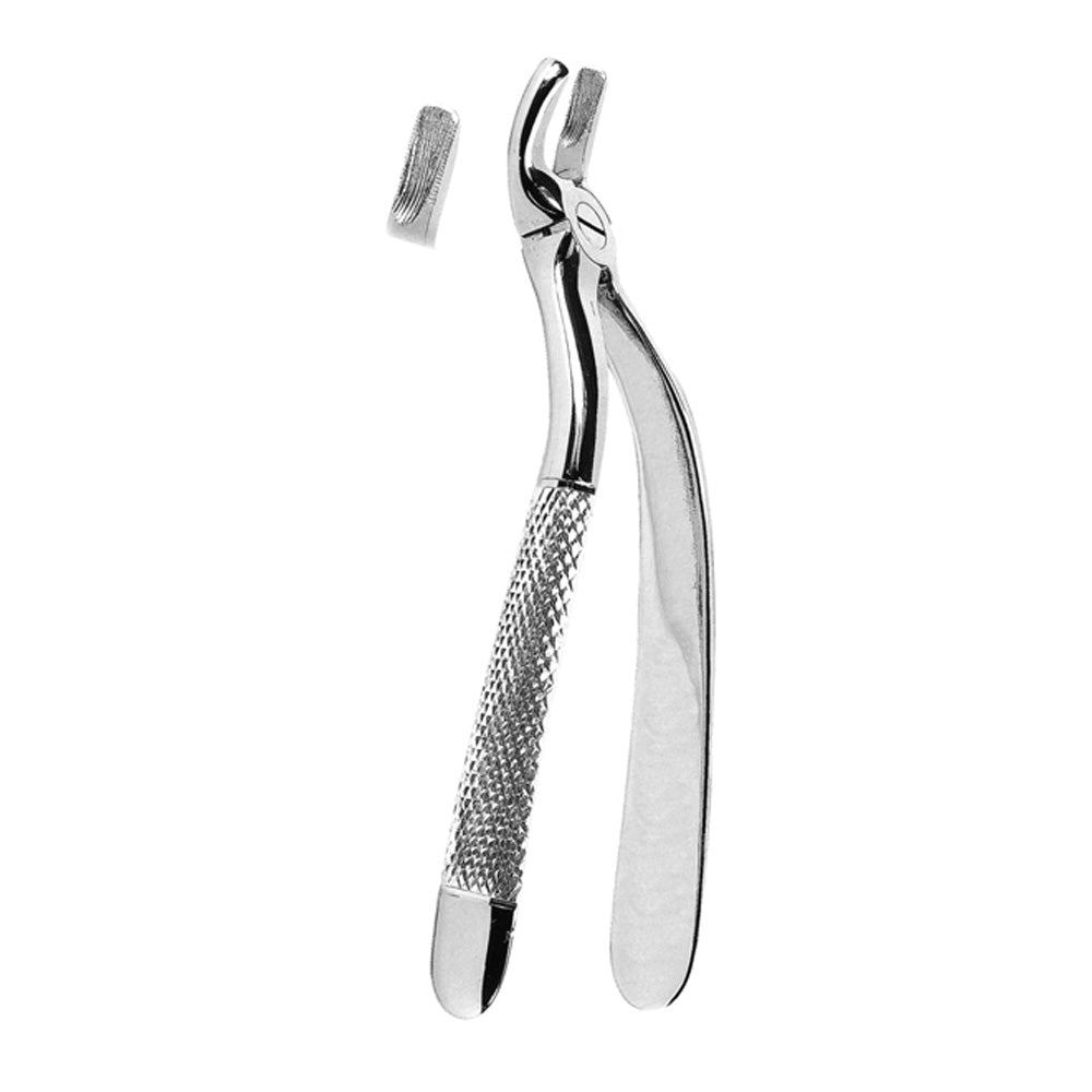 Extracting Forceps Upper Third Molars with Serrated Tips