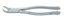 Tooth Root Forceps