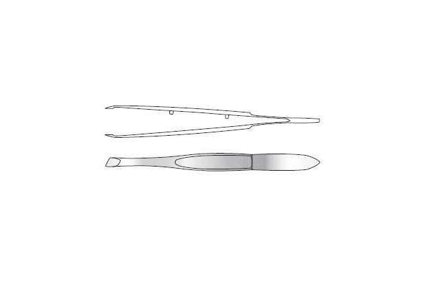 Epilation Forceps Main image