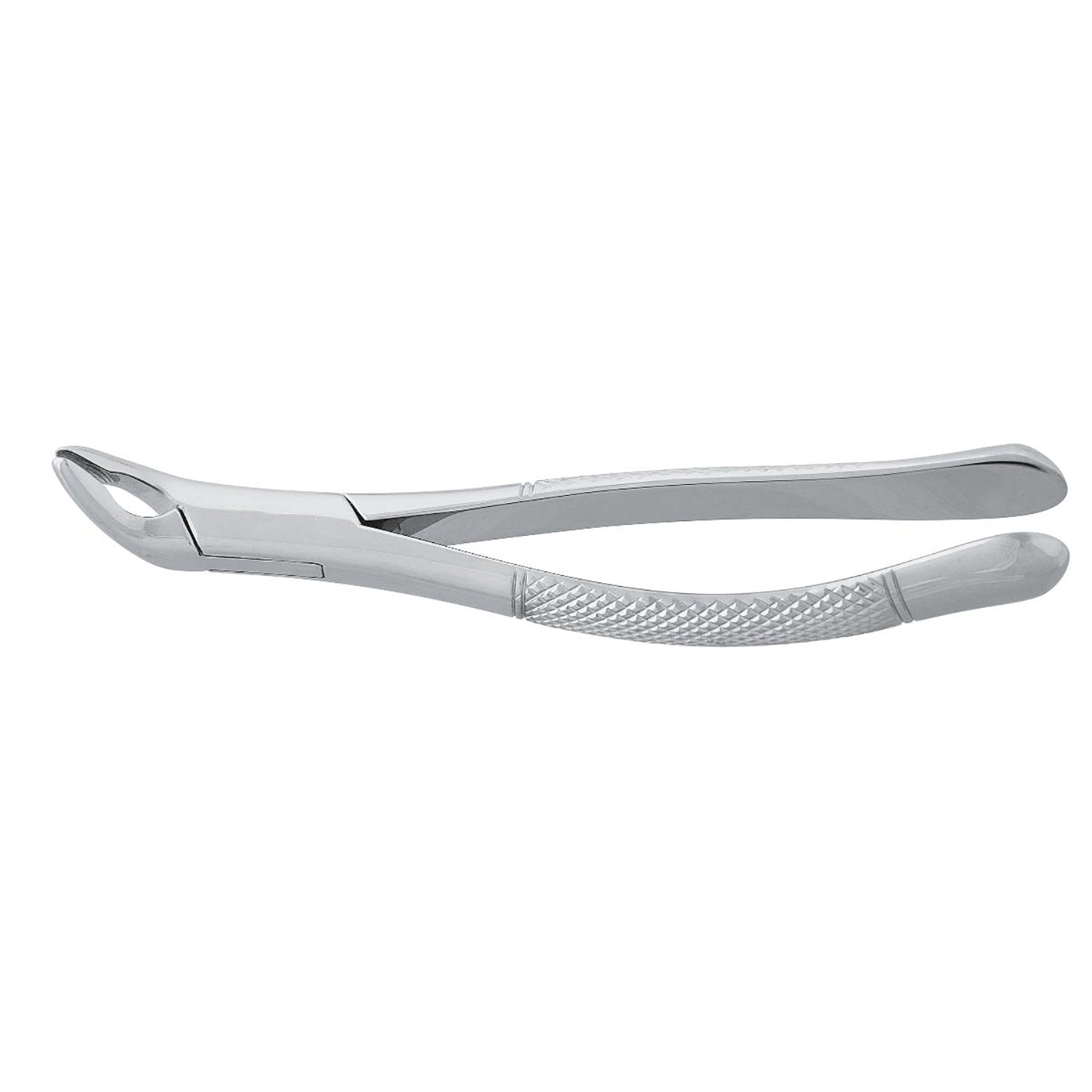 Root Forceps Hlavní obrázek produktu
