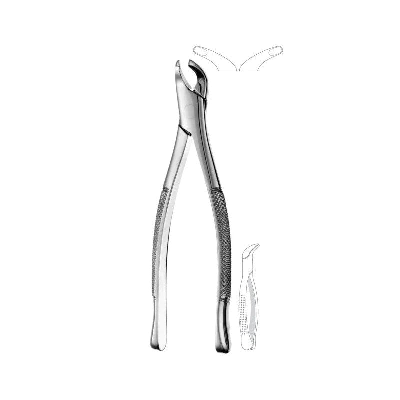 American Pattern Forceps Premolars Fő kép
