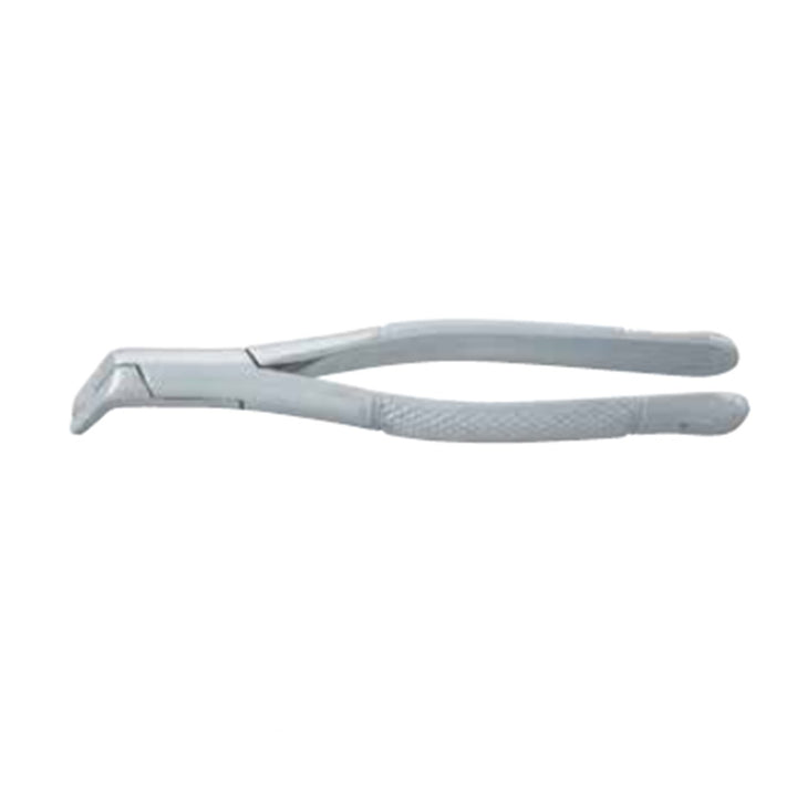 Lower Root Forceps
