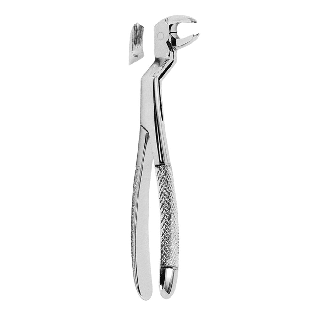 Extracting Forceps Lower Molars and Third Molars Right With Serrated Tips
