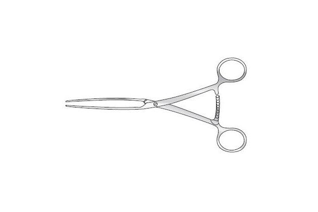 Lanes Bowel Clamp Κύρια εικόνα προϊόντος