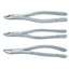 Extracting Forceps 3pcs Set