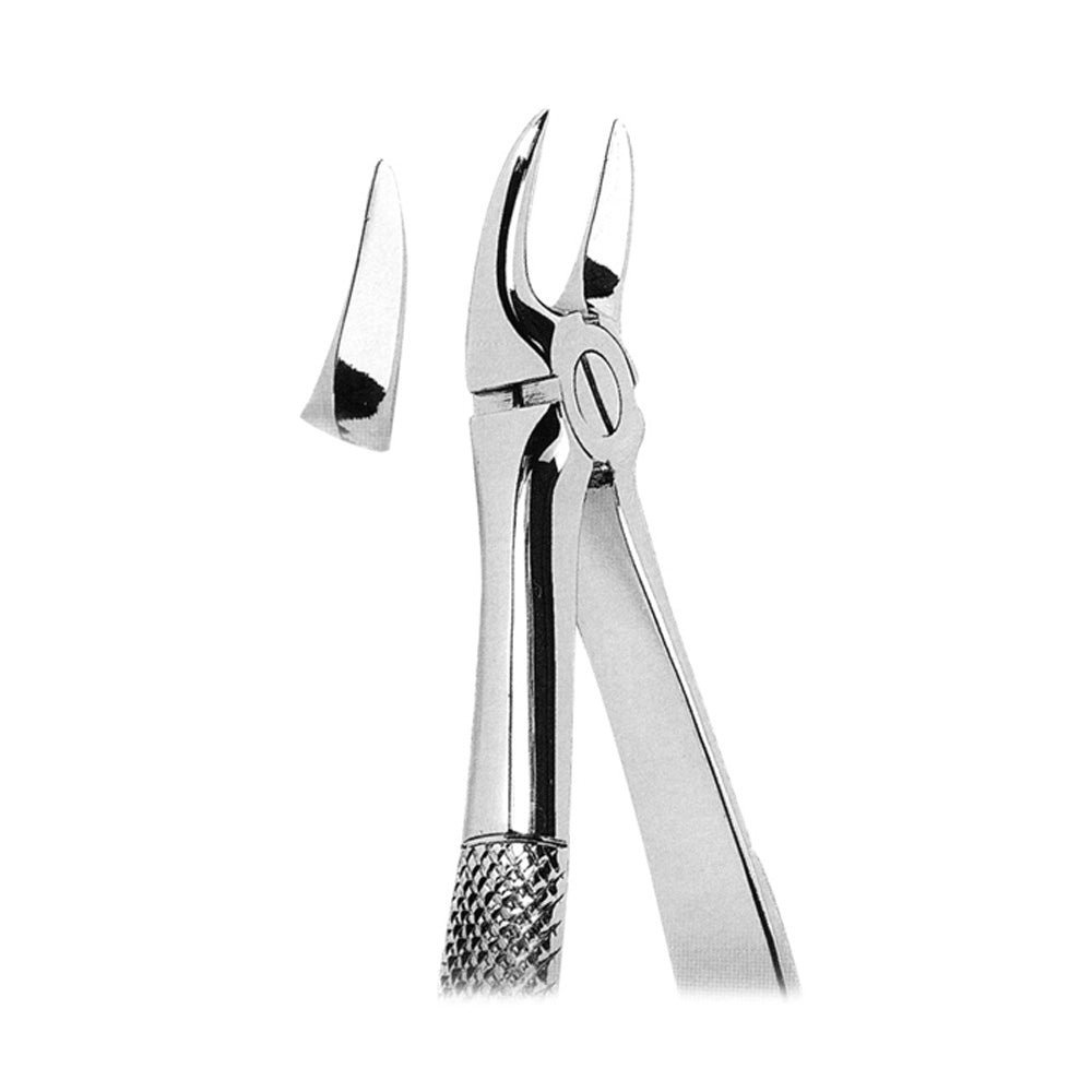 Extracting Forceps For Separating Upper Molars With Serrated Tips