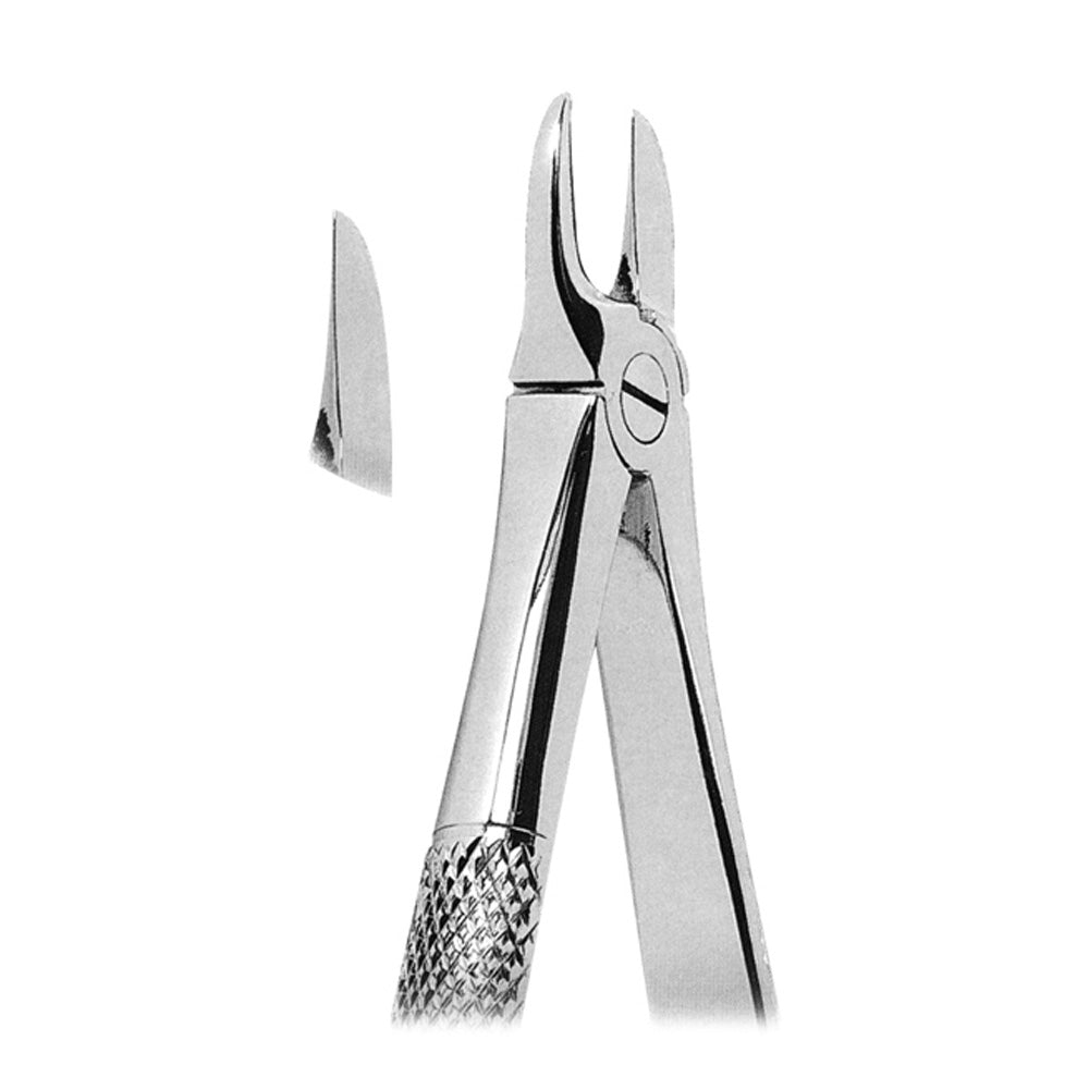 Extracting Forceps For Separating Upper Molars With Serrated Tips - Stainless Steel