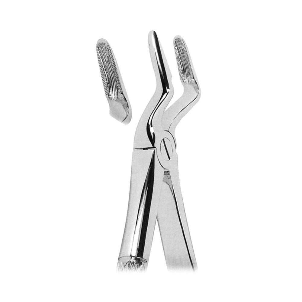 Extracting Forceps Upper Roots and Canines With Serrated Tips