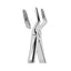 Extracting Forceps Upper Roots and Canines With Serrated Tips