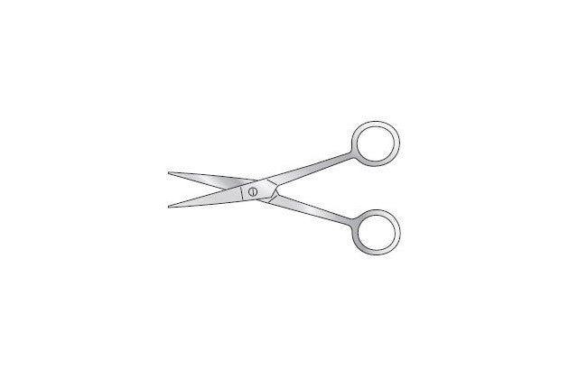 Dissecting Scissor for Post Mortem Κύρια εικόνα προϊόντος