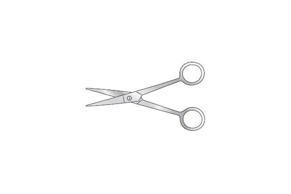 Dissecting Scissor for Post Mortem