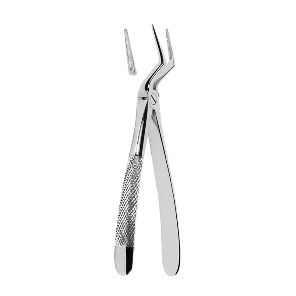 Extracting Forceps Upper Roots With Serrated Tips