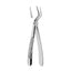 Extracting Forceps Upper Roots With Serrated Tips
