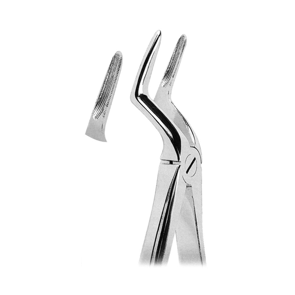 Extracting Forceps Upper Roots With Serrated Tips