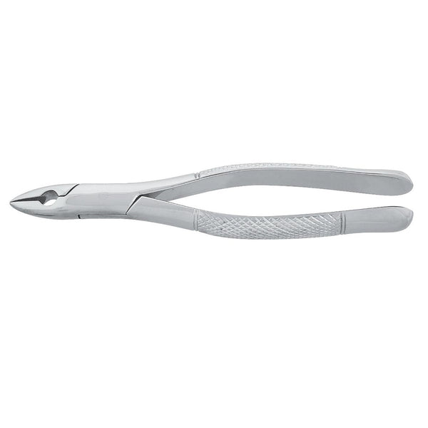 Upper Root Forceps