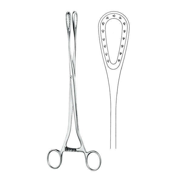 Ovum Forceps Straight 27.5cm Huvudsaklig produktbild