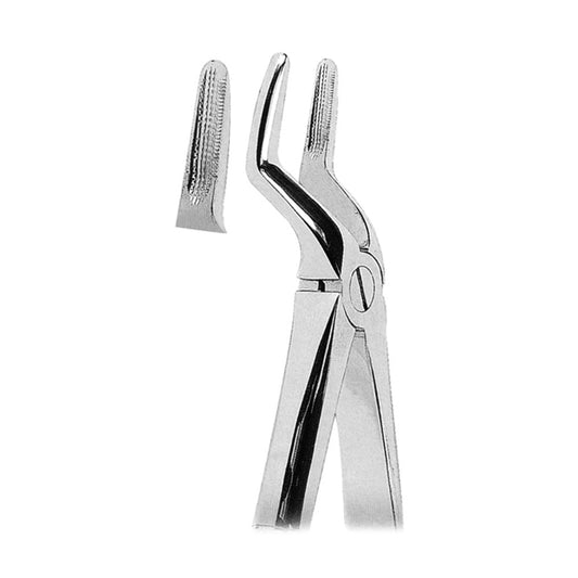 Extracting Forceps Upper Roots With Serrated Tips