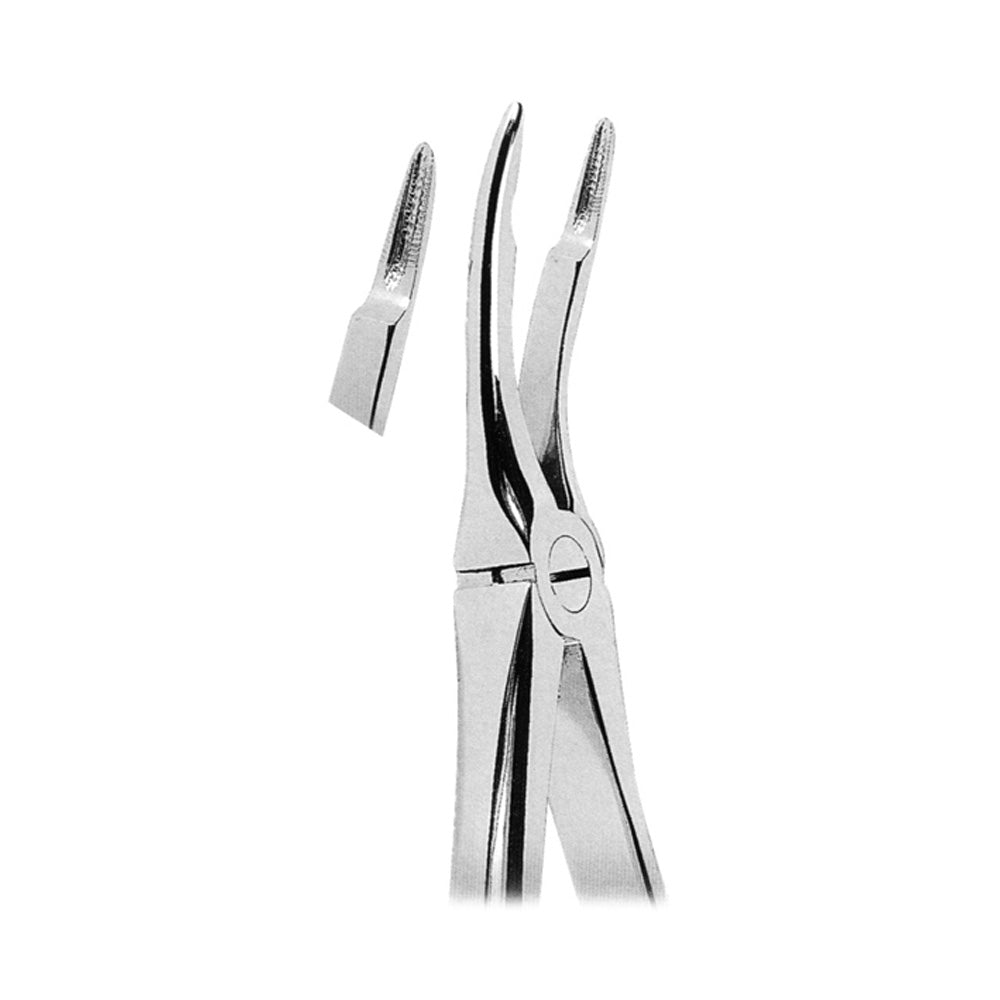Extracting Forceps Upper Roots With Serrated Tips