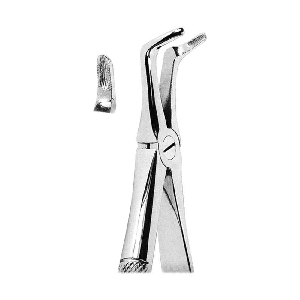 Extracting Forceps Dental Lower Roots Image principale du produit