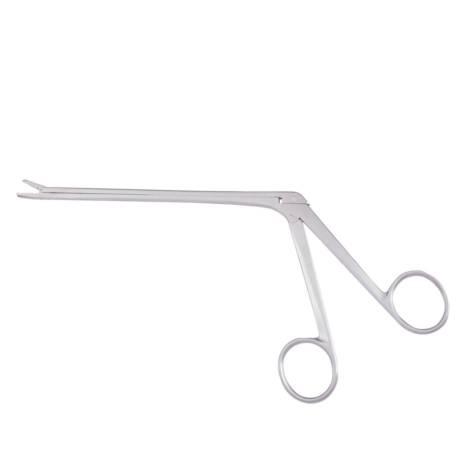 Love-gruenwald Intervertebral Image principale du produit